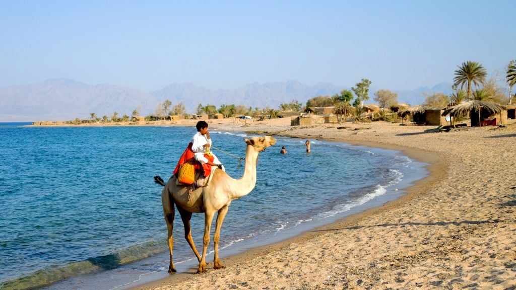 Local Bedouins offer camel rides on the beach on August 14, 2016. (Melanie Lidman/Times of Israel)