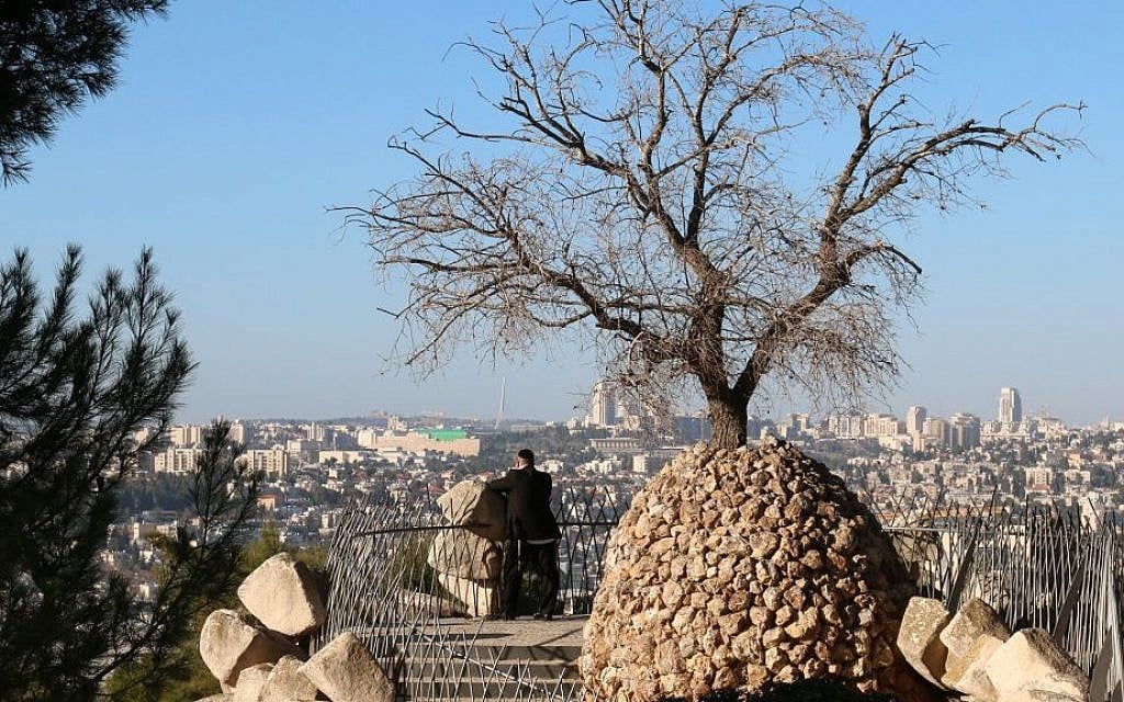 A tree grows from a sculpture designed by a resident of Ramat Rachel at the Yair Overlook on the kibbutz. (Shmuel Bar-Am)