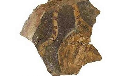 A fresco showing a tiger's tail found in Tzippori, dating from the early second century CE (Hebrew University of Jerusalem)