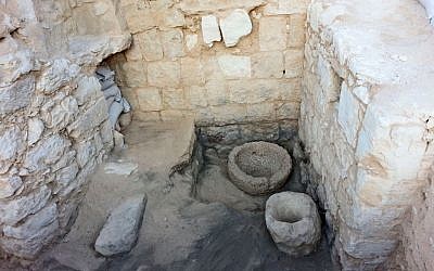 The stable’s interior. The round stone basins were apparently used for storing food and water for the animals (Israel Antiquities Authority/Courtesy)