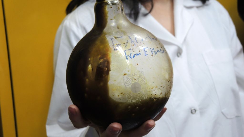 Christine Haj, a post-doctoral student in Mechoulam's lab, holds a beaker of pure THC in the Hebrew University lab on September 1, 2016. THC, the principal psychoactive constituent of cannabis, can be an amber or gold colored glassy solid when cold, and becomes viscous and sticky if warmed. (Melanie Lidman/Times of Israel)
