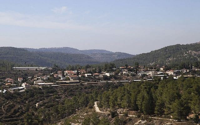 View of Even Sapir and the forest that surrounds it on the outskirts of Jerusalem, October 23, 2013. (Flash90) View of Even Sapir and the forest that surrounds it on the outskirts of Jerusalem, October 23, 2013. (Flash90)