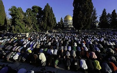 Thousands of Palestinians perform Eid prayers at the Al-Aqsa Mosque, in Jerusalem's Old City, marking the Muslim holiday of Eid al-Adha, October 4, 2014. (Sliman Khader/Flash90)
