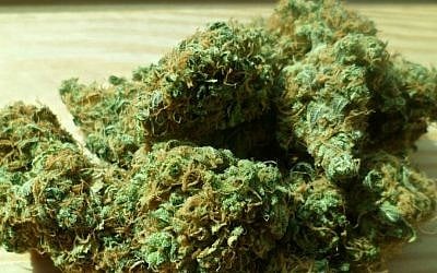 Illustration of cannabis (Courtesy)