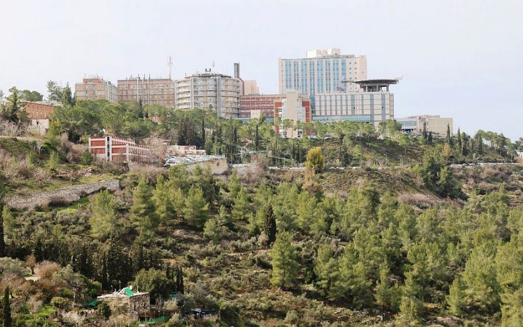 Jerusalem's Hadassah Hospital seen from Ein Kerem's overlook. (Shmuel Bar-Am)