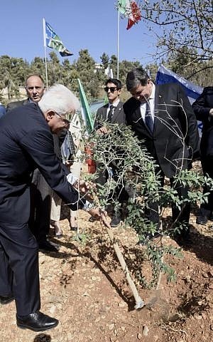 Sergio Matarella planting a tree in Jerusalem on October 30, 2016. (Avi Hayun/KKL-JNF)