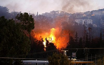 A picture taken on November 24, 2016 shows a fire raging in the northern Israeli port city of Haifa. (AFP PHOTO / AHMAD GHARABLI)