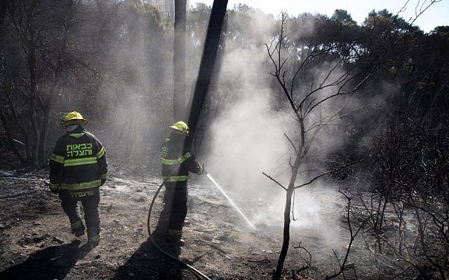Israeli firefighters extinguish flames in Haifa following a massive wildfire that swept through the northern city, on November 25, 2016. (AFP/Menahem Kahana) Israeli firefighters extinguish flames in Haifa following a massive wildfire that swept through the northern city, on November 25, 2016. (AFP/Menahem Kahana)