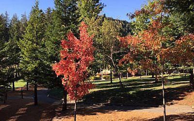 The campus of the Union for Reform Judaism's Camp Newman in northern California. (Facebook) The campus of the Union for Reform Judaism's Camp Newman in northern California. (Facebook)