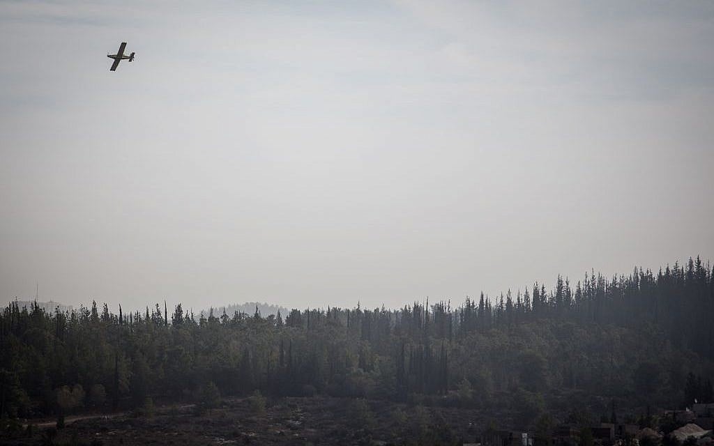 Firefighters try to extinguish a forest fire that broke out near Neve Shalom and Latrun, outside Jerusalem, on November 22, 2016 (Hadas Parush/Flash90)