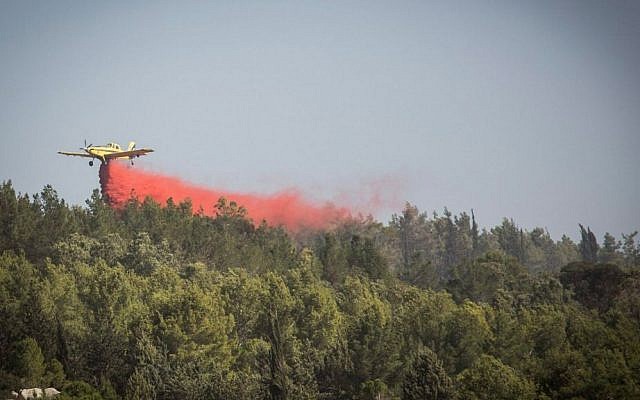 Firefighters try to extinguish a fire in the forest near Neve Shalom and Latrun, outside of Jerusalem on November 22, 2016. (Hadas Parush/Flash90)