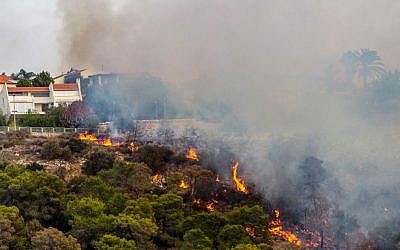 Fire fighters work to put out a forest fire near Zichron Yaakov on November 22, 2016. (Meir Vaaknin /Flash90)