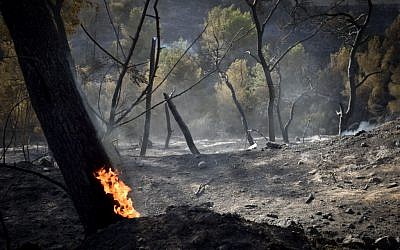Flames from a massive forest fire in Haifa still burning on November 25, 2016. The massive fires in the city a day earlier led to the evacuation of tens of thousands of residents (Gili Yaari /Flash90)