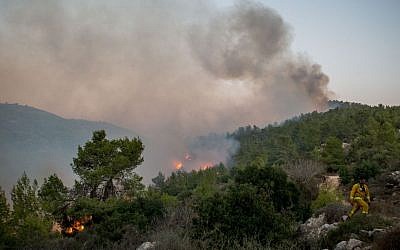 Fire fighters try to extinguish a blaze at Nataf, outside Jerusalem, on November 25, 2016. (Yonatan Sindel/Flash90)