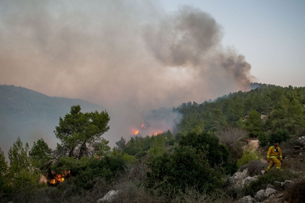 Fire fighters try to extinguish a blaze at Nataf, outside Jerusalem, on November 25, 2016. (Yonatan Sindel/Flash90) Fire fighters try to extinguish a blaze at Nataf, outside Jerusalem, on November 25, 2016. (Yonatan Sindel/Flash90)