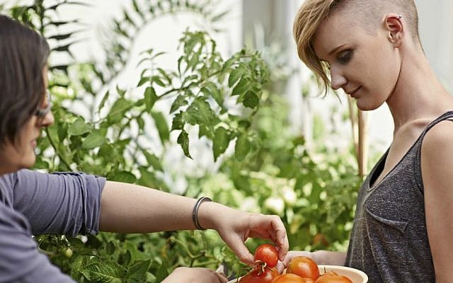 Flux's Eddy aims to make growing food at home easier (Courtesy)