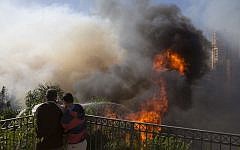 Men hose down wildfires in Haifa, Israel, November 24, 2016. (AP Photo/Ariel Schalit)