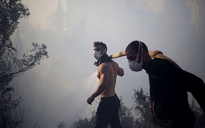 Residents fight a wildfire in Haifa, Israel, Thursday, Nov. 24, 2016. The blaze ripped through parts of Israel's third-largest city, forcing tens of thousands of people to evacuate their homes (AP Photo/Ariel Schalit)
