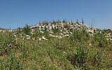 Ruined Arab building within JNF forest in Bayt Nattif (CC BY-SA Davidbena, Wikipedia)