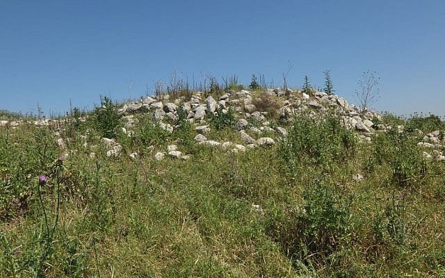Ruined Arab building within JNF forest in Bayt Nattif (CC BY-SA Davidbena, Wikipedia) Ruined Arab building within JNF forest in Bayt Nattif (CC BY-SA Davidbena, Wikipedia)