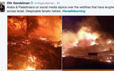 Screenshot of Israeli Prime Minister spokesperson Ofir Gendelman's tweet condemning celebrations on Twitter as fires raged across Israel.