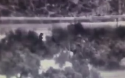 Three men appear to start a fire in the woods outside the Ariel settlement in the West Bank early in the morning on November 25, 2016. (Screen capture)
