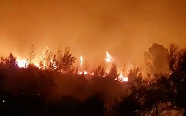 A forest fire rages outside Neve Shalom, November 22, 2016. (Israel Police)