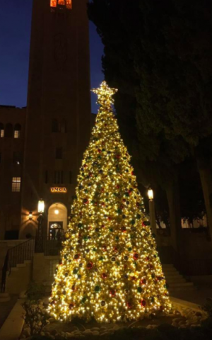 The lit Christmas tree at Jerusalem's YMCA courtyard (Courtesy YMCA)