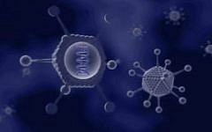 Vascular Biogenics's VBL-111 targets glioblastoma multiforme (YouTube screenshot)