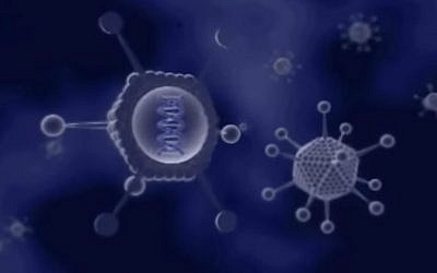 Vascular Biogenics's VBL-111 targets glioblastoma multiforme (YouTube screenshot)