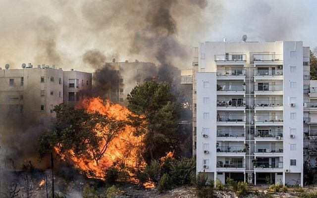 A picture taken on November 24, 2016 shows a fire raging in the northern Israeli port city of Haifa. (AFP PHOTO / Jack GUEZ)