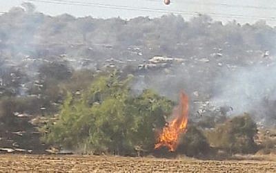 A brush fire that erupted in the Haruvit Forest, outside the southern city of Kiryat Malachi on November 27, 2016. (Israel Police)