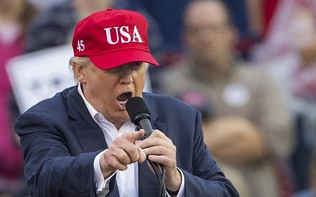President-elect Donald Trump speaks during a thank you rally in Ladd-Peebles Stadium on December 17, 2016 in Mobile, Alabama. (Mark Wallheiser/Getty Images/AFP)