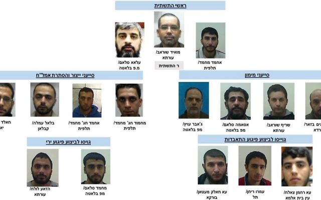 Alleged members of a Hamas terror cell operating in the area of the West Bank city of Nablus, nabbed by the Shin Bet, December 22, 2016. (Shin Bet) Alleged members of a Hamas terror cell operating in the area of the West Bank city of Nablus, nabbed by the Shin Bet, December 22, 2016. (Shin Bet)