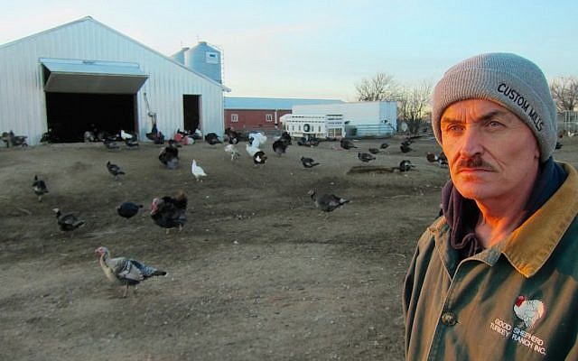 Frank Reese, owner of the Good Shepherd Poultry Ranch, raises only heritage birds. In cooperation with the Jewish Initiative for Animals, his chicken is now available for kosher consumers. (Victor Wishna) Frank Reese, owner of the Good Shepherd Poultry Ranch, raises only heritage birds. In cooperation with the Jewish Initiative for Animals, his chicken is now available for kosher consumers. (Victor Wishna)