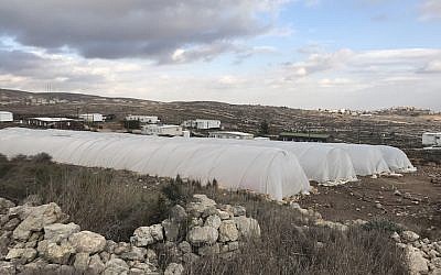 Greenhouses providing shelter to the hundreds of young people who have come to protest in Amona, Dec. 13, 2016. (Andrew Tobin/JTA) 
