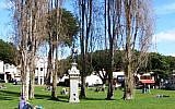 Washington Square Park, San Francisco. (CC BY-SA 3.0/SujoyG/Wikimedia)