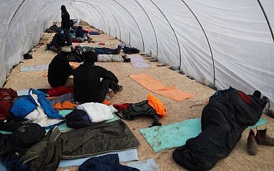 amona3 Young Jewish settlers preparing to resist evacuation of the illegal West Bank outpost Amona, which is built on private Palestinian land. December 15, 2016. Photo by Yonatan Sindel/Flash90