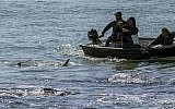 A picture taken on January 23, 2017, shows an Israeli taking photos of sharks in the Mediterranean sea off the Israeli coastal city of Hadera north of Tel Aviv. (AFP PHOTO / JACK GUEZ)