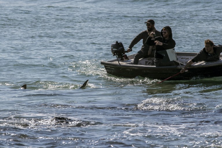A picture taken on January 23, 2017, shows Israelis taking photos of sharks from a small boat in the Mediterranean sea off the Israeli coastal city of Hadera north of Tel Aviv. (AFP PHOTO / JACK GUEZ) A picture taken on January 23, 2017, shows Israelis taking photos of sharks from a small boat in the Mediterranean sea off the Israeli coastal city of Hadera north of Tel Aviv. (AFP PHOTO / JACK GUEZ)
