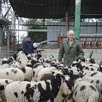 Gil and Jenna Lewinsky on their new rental farm in Nes Harim, outside of Beit Shemesh, on January 15, 2017. (Melanie Lidman/Times of Israel)