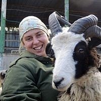 All of the sheep have individual personalities and quirks, says Jenna Lewinsky, pictured here on January 15, 2017. (Melanie Lidman/Times of Israel)