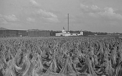 The flax-retting area at Unterschleissheim, as it looked during the Holocaust. (Peter Vahlensieck)