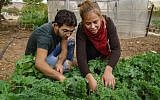 Students work in the field at the Arava Institute. (Courtesy)