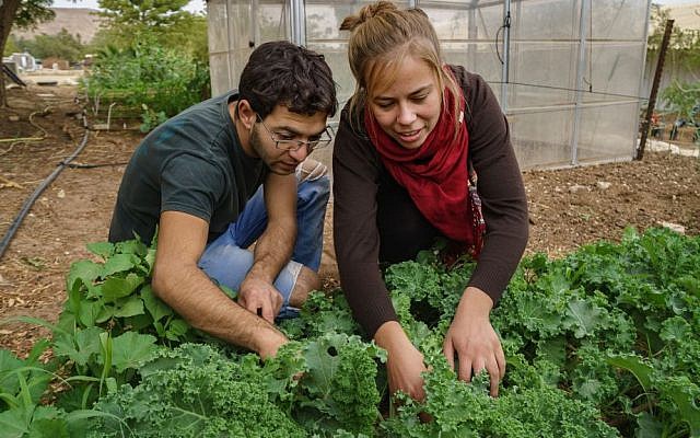 Students work in the field at the Arava Institute. (Courtesy)