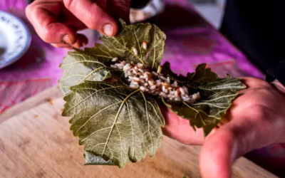 Wrapping grape leaves with Galileat, the Galilean cooking workshop experience that is embarking on a crowdsourcing-funded cookbook (Courtesy Galileat)
