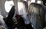 Falcons on a plane (YouTube screenshot)
