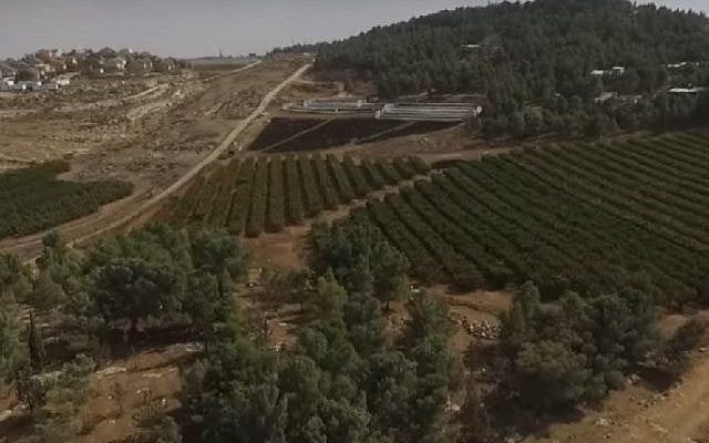 A screenshot from footage of agricultural fields near Havat Ma'on in the West Bank, filmed by a drone operated by a Palestinian NGO. (Screenshot/Regavim) A screenshot from footage of agricultural fields near Havat Ma'on in the West Bank, filmed by a drone operated by a Palestinian NGO. (Screenshot/Regavim)