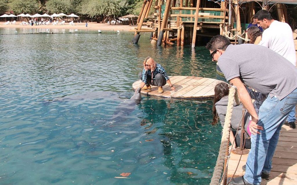 Staff and visitors on the pier of the Dolphin Reef in Eilat. (Shmuel Bar-Am)