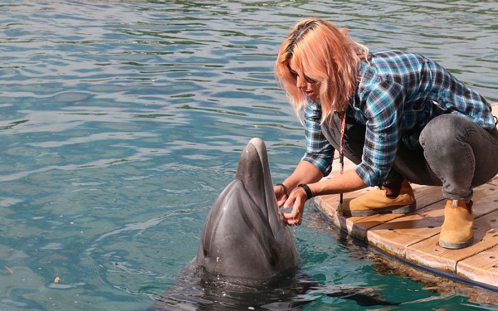 Head trainer Tal Fisher at the Dolphin Reef in Eilat. (Shmuel Bar-Am)